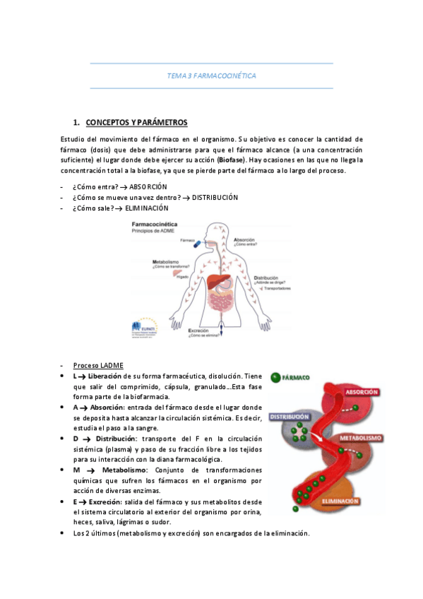 Miniatura del documento TEMA-3-FARMACOCINETICA.pdf