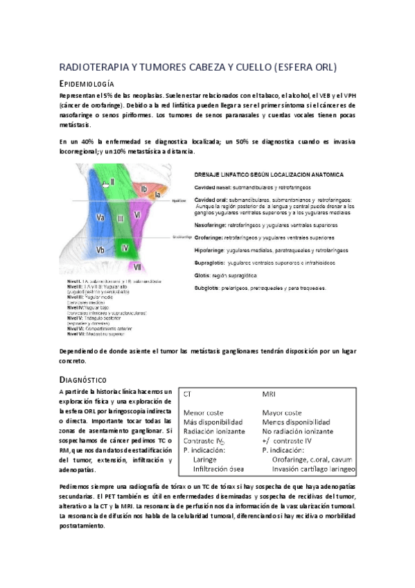 Miniatura del documento CANCER-ESFERA-ORL.pdf