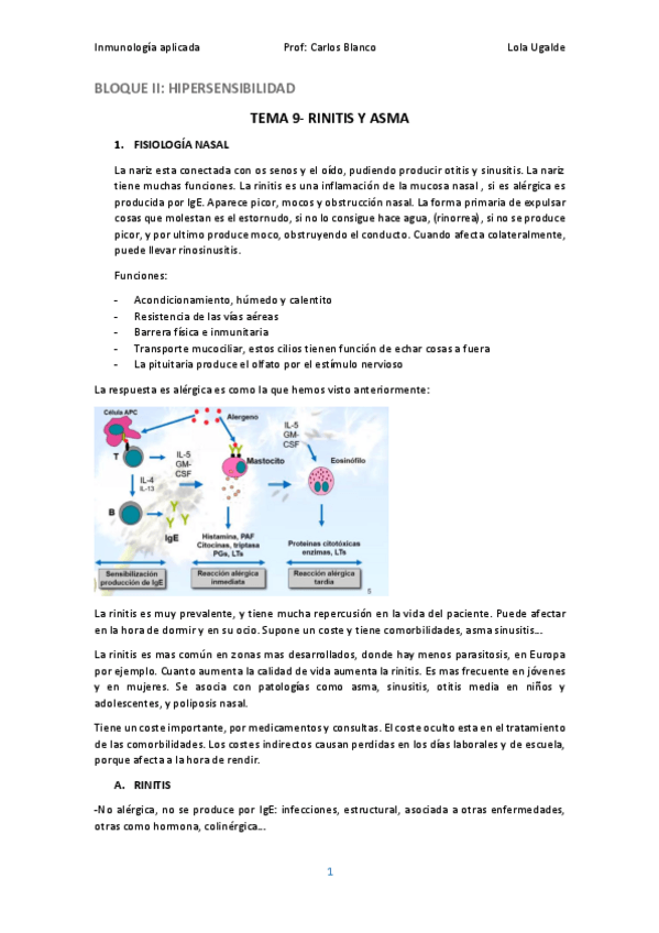 Miniatura del documento IA09.pdf