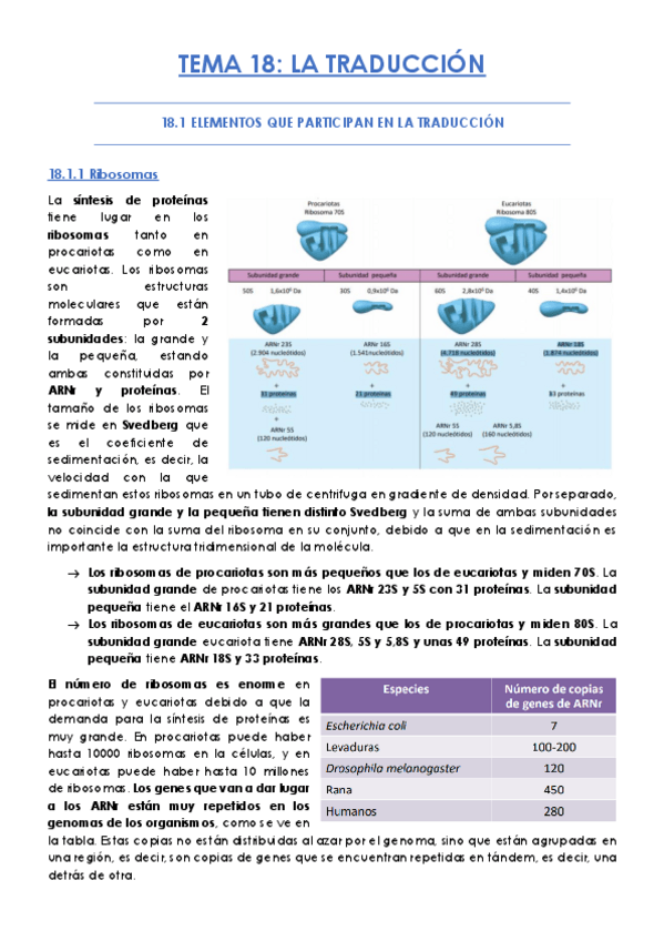 Miniatura del documento TEMA-18.pdf