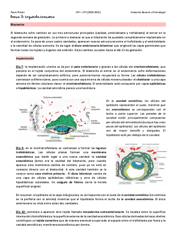 Miniatura del documento Anatomia-T3.pdf
