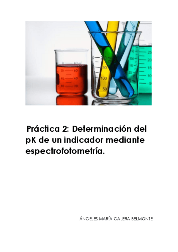 Miniatura del documento practica-2.pdf