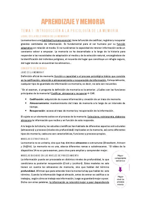 Miniatura del documento AYMT1Introduccion-a-la-psicologia-de-la-memoria.pdf