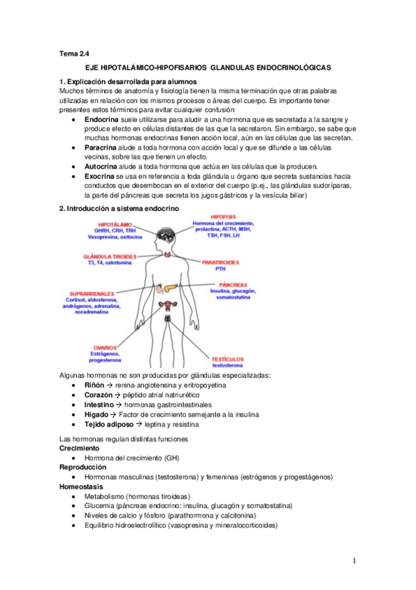 Miniatura del documento Tema 2.4 Eje hipotalámico-hipofisiarios
