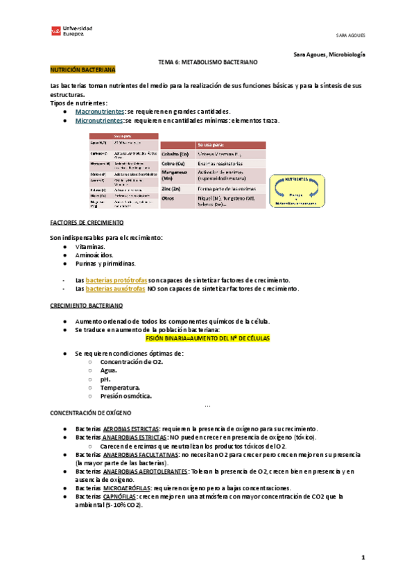 Miniatura del documento Copia-de-TEMA-6.pdf
