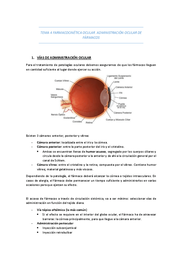 Miniatura del documento TEMA-4-FARMACOCINETICA-OCULAR.pdf