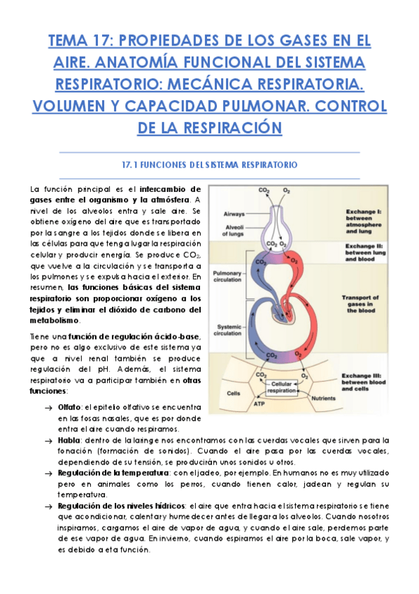 Miniatura del documento TEMA-17.pdf