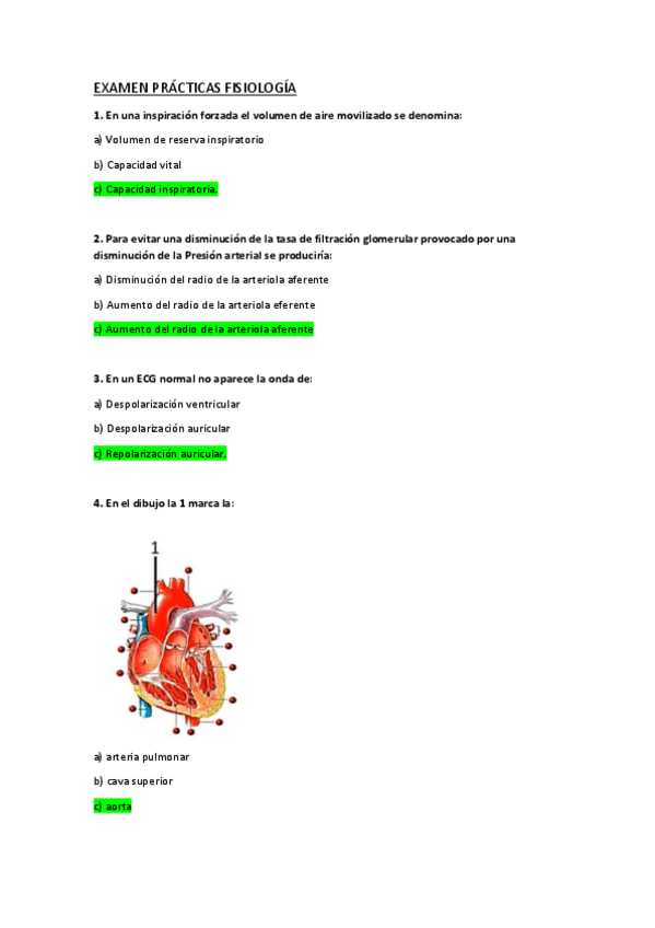 Miniatura del documento EXAMEN-PRACTICAS-FISIOLOGIA-HUMANA-II.pdf