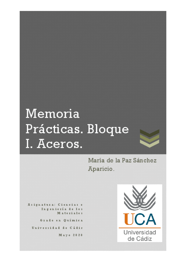 Miniatura del documento informe-practica-acerosbuena-notaMpz.pdf