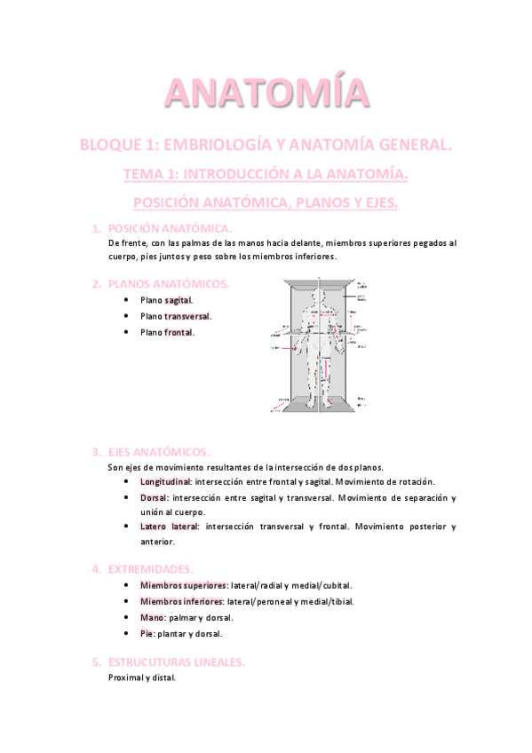 Miniatura del documento Bloque-1.pdf