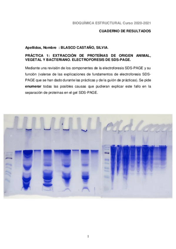 Miniatura del documento P1-Cuaderno-de-resultados-2020-2021B-1.pdf