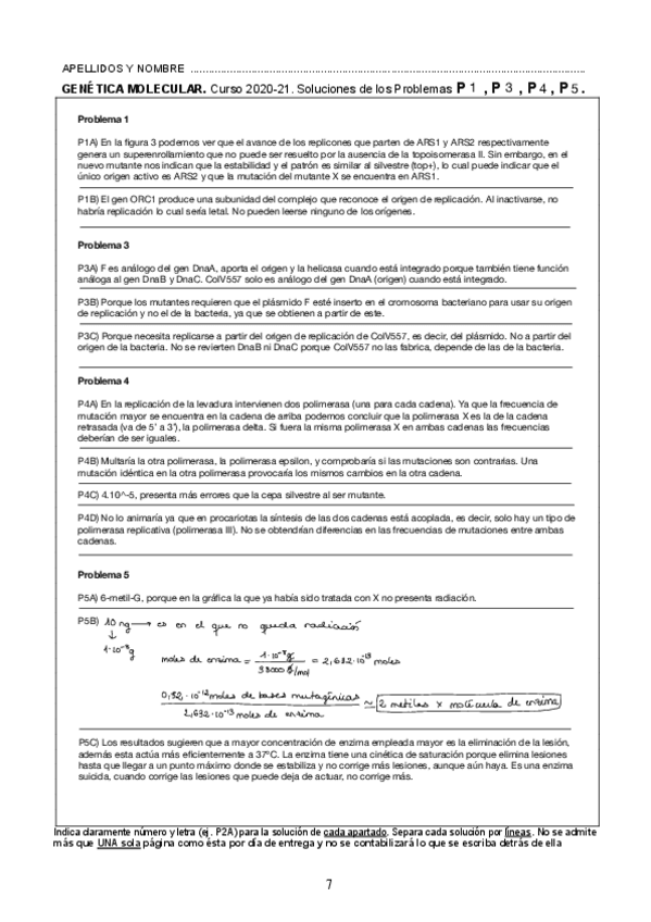 Miniatura del documento Problemas-P1-P5.pdf