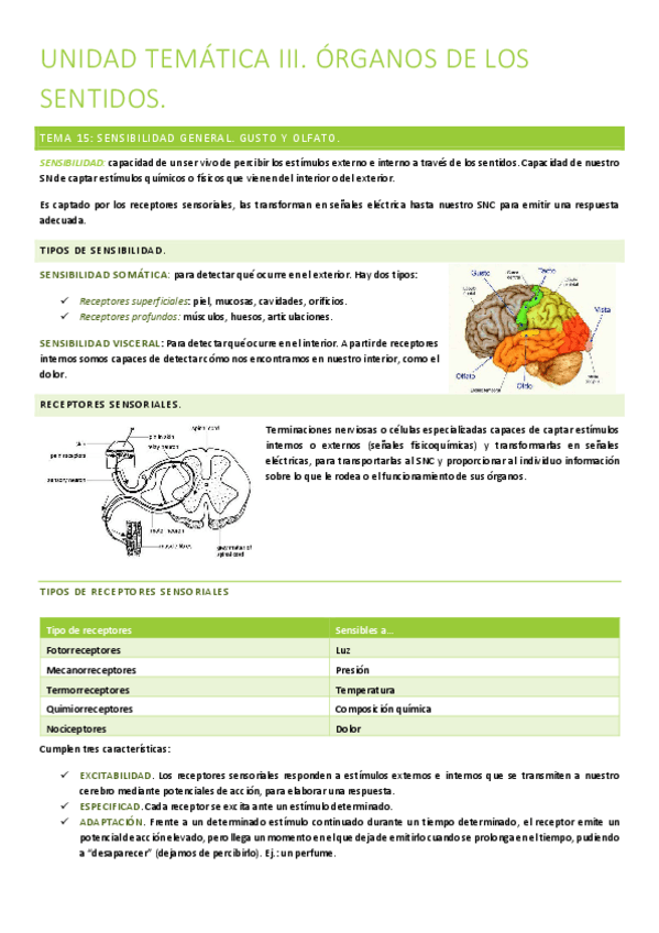 Miniatura del documento UNIDAD-TEMATICA-III.pdf