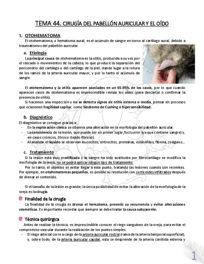 Miniatura del documento TEMA-44.pdf
