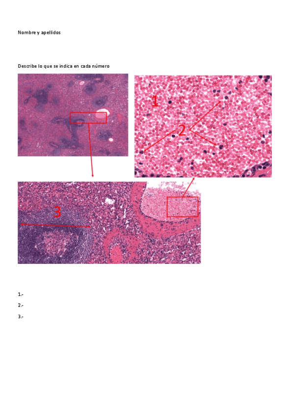 Miniatura del documento Examen-LIB.pdf