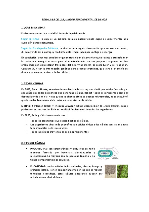Miniatura del documento TEMA-2.pdf