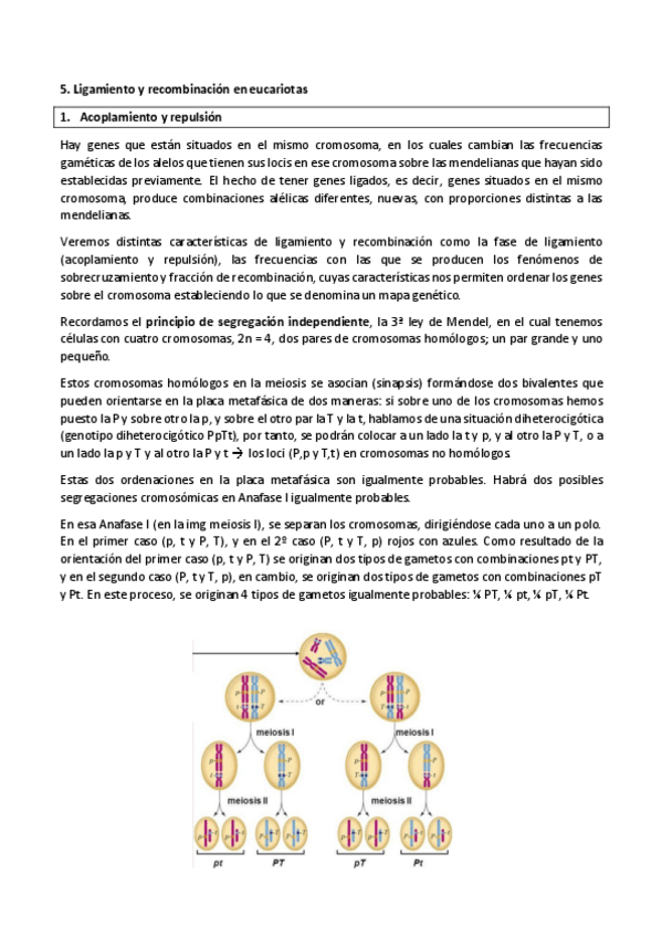 Miniatura del documento 5.pdf
