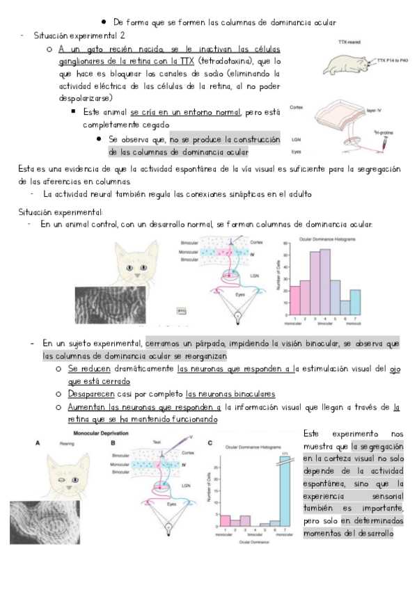 Miniatura del documento tema-1-parte-final.pdf