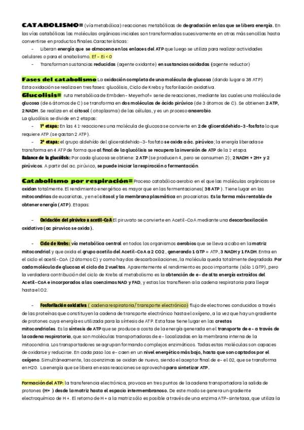 Miniatura del documento CATABOLISMO-Y-ANABOLISMO.pdf