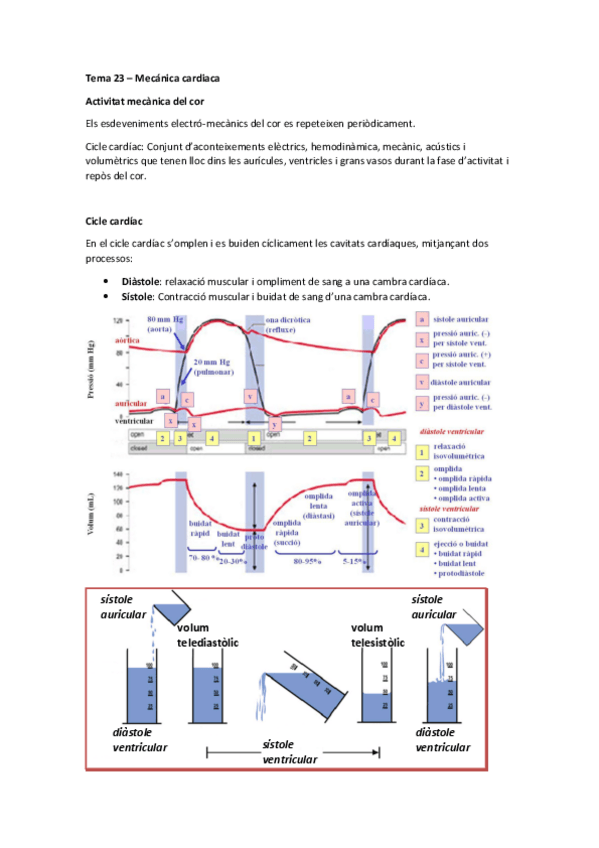 Miniatura del documento Tema 23 - Mecanica cardiaca.pdf