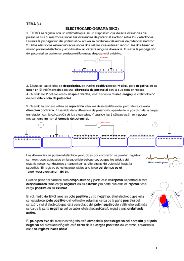 Miniatura del documento Tema 3.4 Electrocardiograma