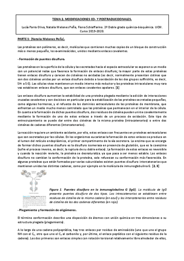 Miniatura del documento Trabajo-biosintesis-definitivo.pdf