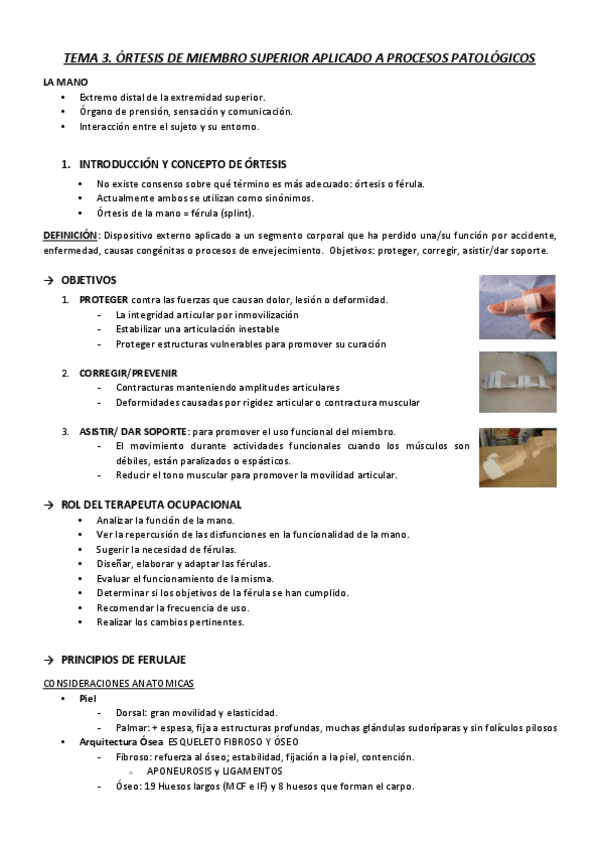 Miniatura del documento T3.pdf