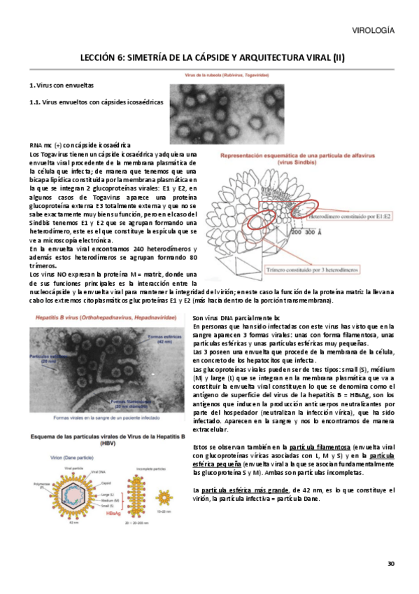 Miniatura del documento TEMA-6.pdf