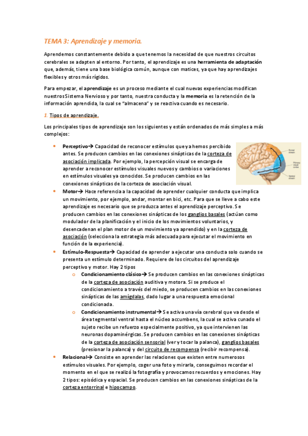 Miniatura del documento TEMA-3-Aprendizaje-y-memoria.pdf