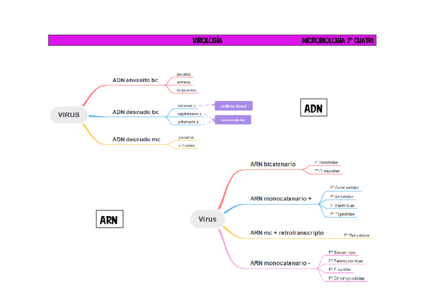 Miniatura del documento VIRUS.pdf