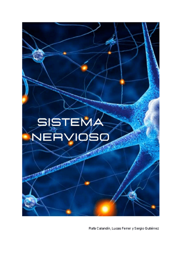 Miniatura del documento SN.pdf