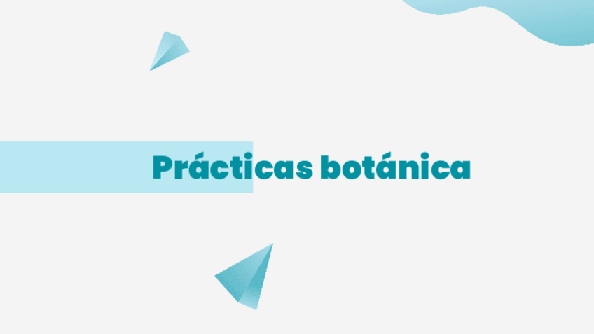 Miniatura del documento Practicas-botanica.pdf