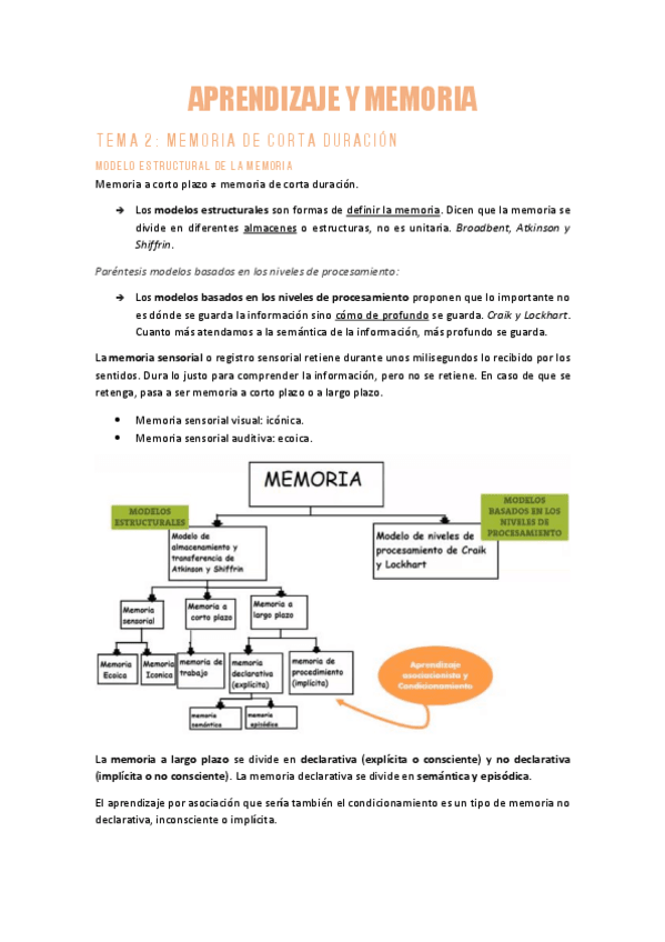 Miniatura del documento AYMT2Memoria-de-corta-duracion.pdf