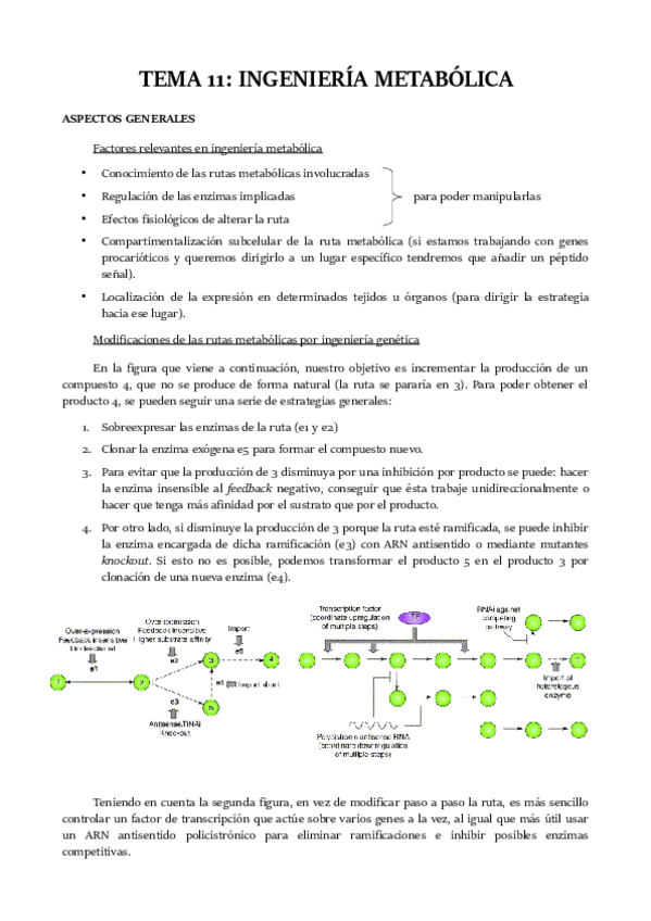 Miniatura del documento TEMA-11.pdf