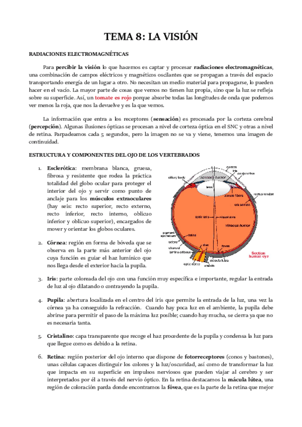 Miniatura del documento TEMA-8.pdf