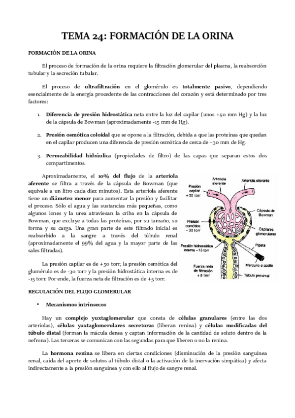 Miniatura del documento TEMA-24.pdf