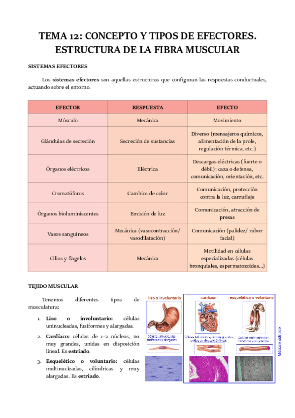 Miniatura del documento TEMA-12.pdf