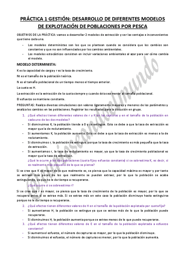 Miniatura del documento PRACTICAS-GESTION.pdf