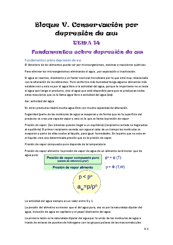 Miniatura del documento Bloque-V-TiC.pdf