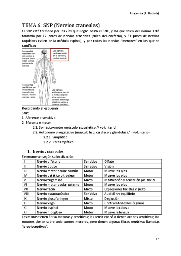 Miniatura del documento Nervios-craneales.pdf
