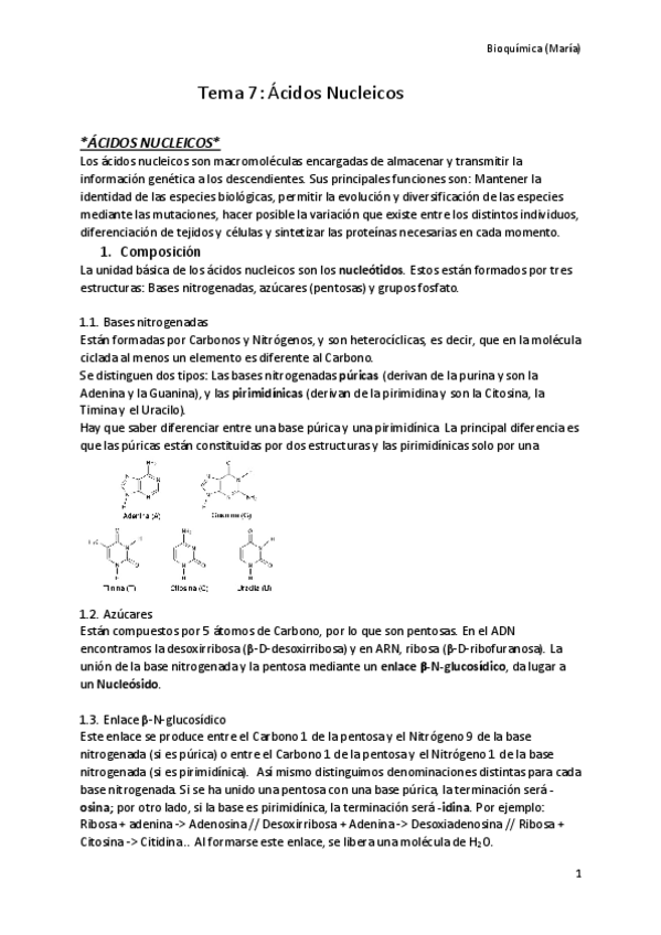 Miniatura del documento Acidos-nucleicos.pdf