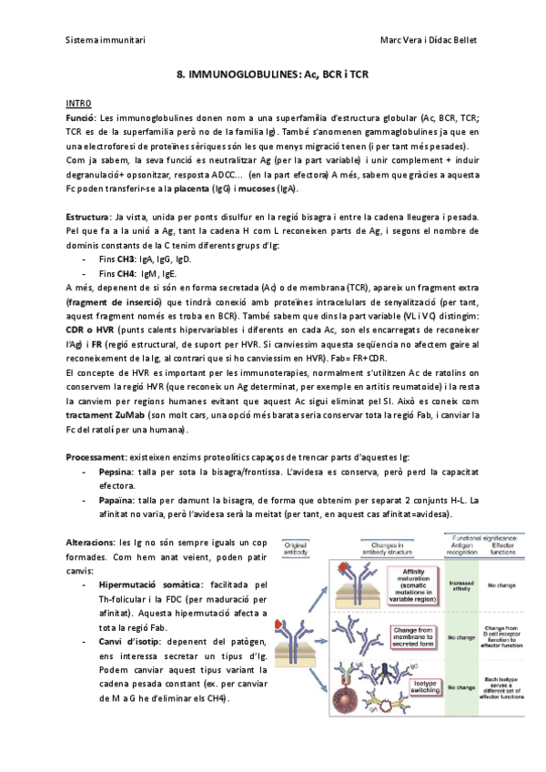 Miniatura del documento SIT8-Immunoglobulines.pdf