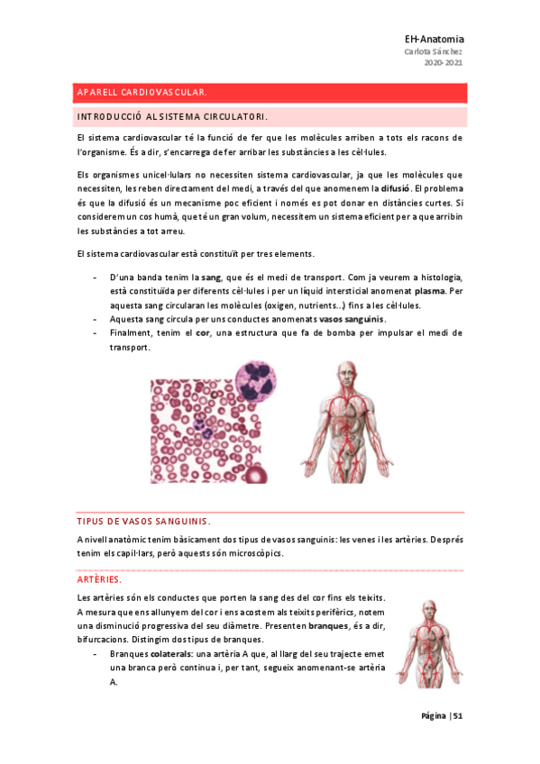 Miniatura del documento Cardiovascular-i-respiratori.pdf