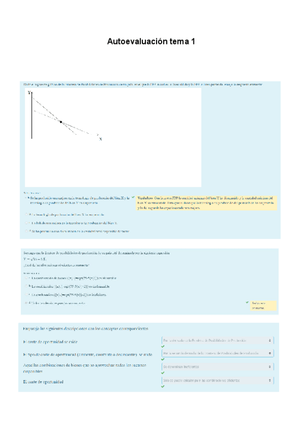 Miniatura del documento Autoevaluacion-todos-los-temas.pdf