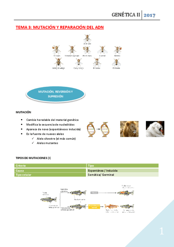 Miniatura del documento TEMA 3 MIO.pdf