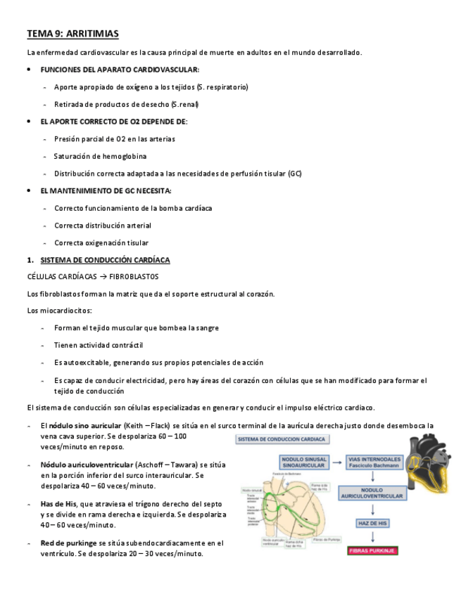 Miniatura del documento TEMA-9.pdf