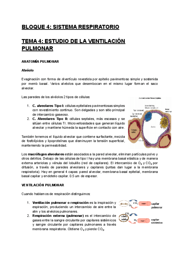 Miniatura del documento ALTERACIONES-DEL-ORGANISMO-HUMANO-Tema-4.pdf