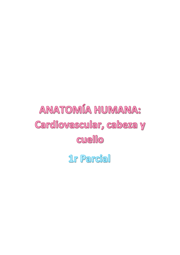 Miniatura del documento Anato-Cardiovascular-1r-Parcial.pdf
