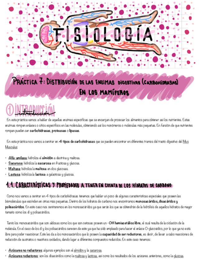 Miniatura del documento Fisiologia-Practica-5-y-7.pdf