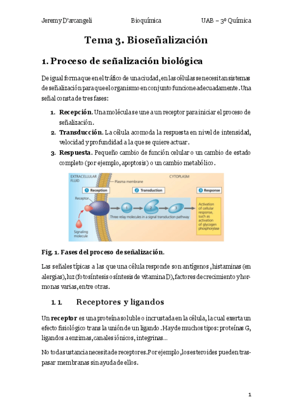 Miniatura del documento Teoria-T3-BIO.pdf